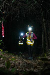 BIB: 
                            <button type="button" onclick="openModal(19401464)" class="btn btn-primary btn-sm float-right btn-popup" data-toggle="modal" data-target=".modal-high-quality">
                        <i class="fas fa-shopping-cart"></i> Add to Cart
                    </button>
                                            <button type="button" onclick="isThisMe(19401464, true)" class="btn btn-success btn-sm float-right btn-popup btn-isme hidden" data-toggle="tooltip" data-placement="bottom" title="นี่คือรูปของคุณใช่ไหม คลิกที่นี่เพื่อเอาเข้าอัลบั้ม">
                        <i class="fas fa-plus"></i> Add to album
                    </button>
                    <button type="button" onclick="isThisMe(19401464, false)" class="btn btn-warning btn-sm float-right btn-popup btn-isnotme hidden">
                        <i class="fas fa-ban"></i> Remove from album
                    </button>